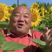 山茶花读不懂白玫瑰