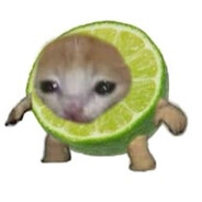 Lime