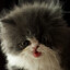 Purryx
