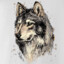 andy_SK