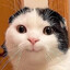 B73d9fb45455be60db4818898db10dfe58eb0a09 medium