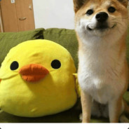 Dogo