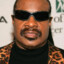 Stevie Wonder