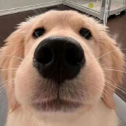 microsoft office转cs