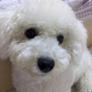 就叫我逗比轩吧