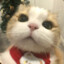 葵崽