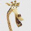 Melman