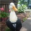 TheThinWhiteDuck