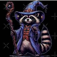 Raccoon Wizard