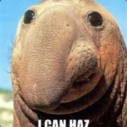 HPB - steam id 76561198040753867