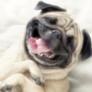 Obst & Gemüse & Früchte