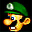 Luigi has a mansion