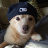 zwhoangg_cs2cases.pro