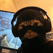 Z E D avatar