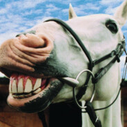 马枪马的是人情世故