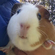 альтушечка