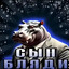 СЫН БЛЯДИ