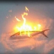 scorching salmon