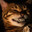 Scar_2k01