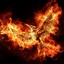 RedWyvern19