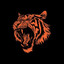 Tigr