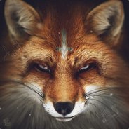 Боевой Лис - steam id 76561197965516735