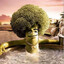 Brocoli Duro