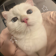 ♔ 𝗞𝗜𝗧𝗧𝗬 ♔ ™