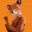 MrFoxx04