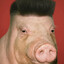 anton
