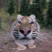 Avatar snapshot