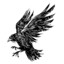 RAVEN