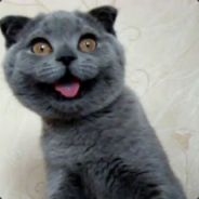 <font color="#3299CC">TroublEgg