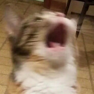 a r m m u