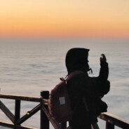 比比迪巴比迪布欧