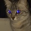 ᵐᵃᵖᵏᵉ影伝鶐