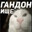 гандонище