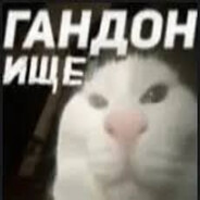 гандонище