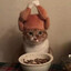 chiglet