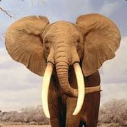 REZPE