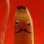 Nannerpus