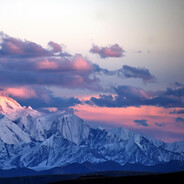 不愿透漏姓名的GZ先生