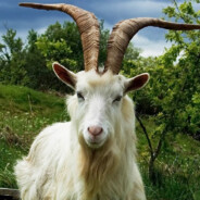 GOAT Boris