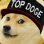 TOP DOGE