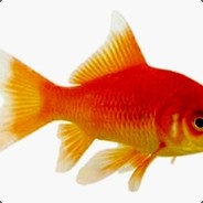 JesusTheRealGod