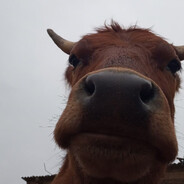 КОДИ ЭТО Я БРО