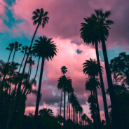 即便不能相爱 你凌晨三点半的电话我还是会接