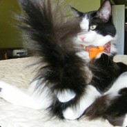 有福同享有难开润