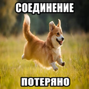 отсутствует подключение к интерн