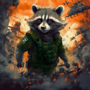 Хайповый Енот